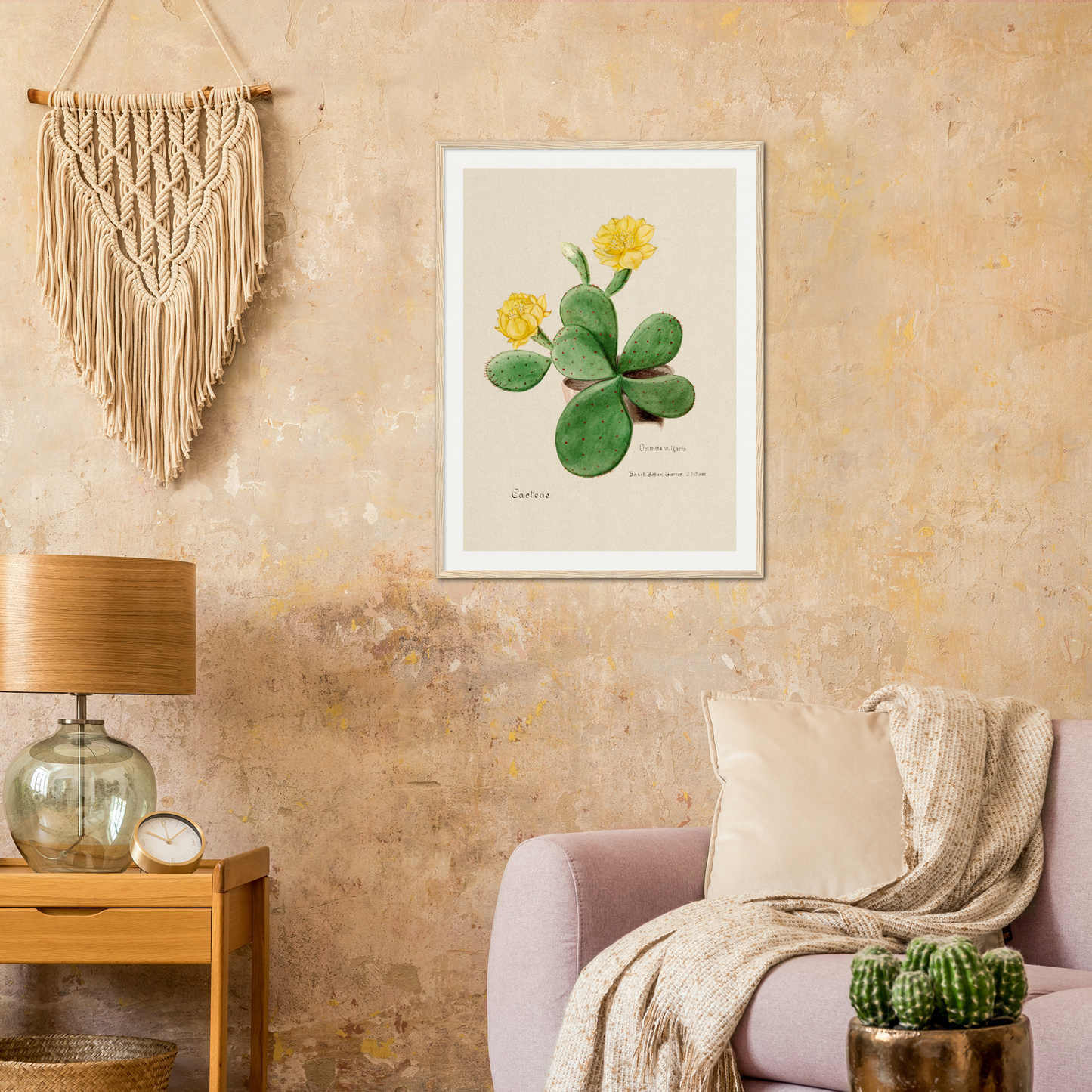 EASTERN PRICKLY PEAR CACTUS