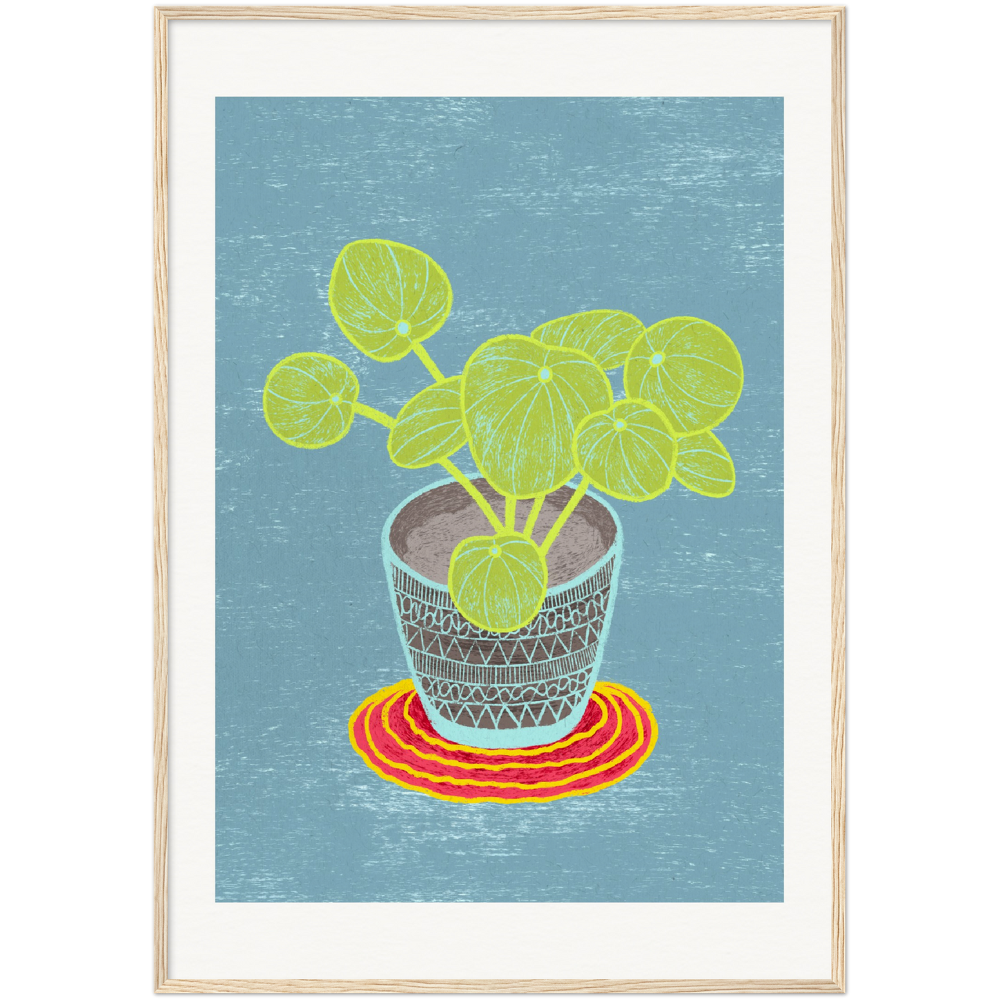 PILEA