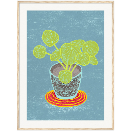 PILEA